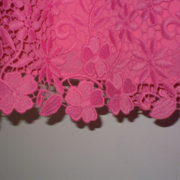 Alice + Olivia designer Pink Fit & Flare Lace Dress SIZE 0 New w/o Tags - Picture 2 of 11